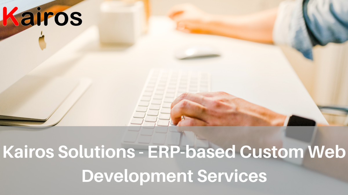 ERP-based Web Development Services