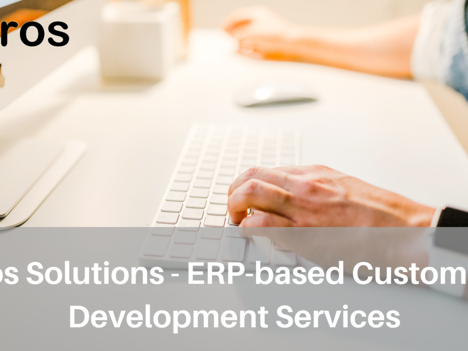 ERP-based Web Development Services
