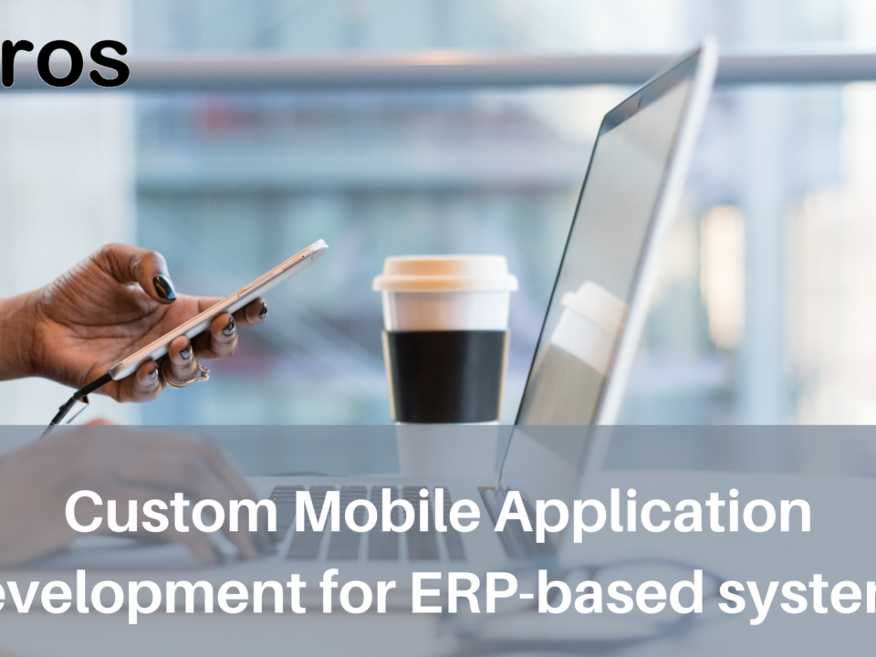 custom mobile application development for ERP-based systems